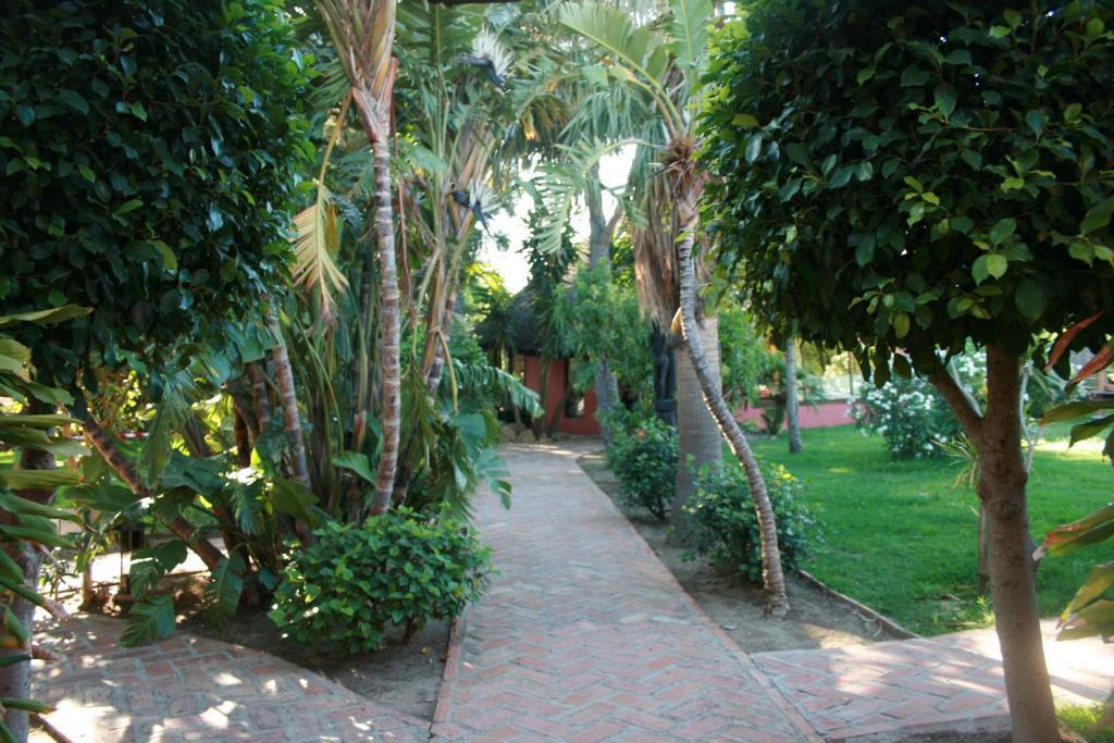 100% Fun Hotel Tarifa Luaran gambar